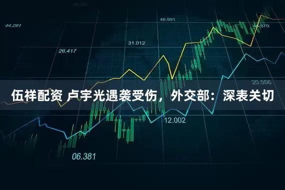 伍祥配资 卢宇光遇袭受伤，外交部：深表关切