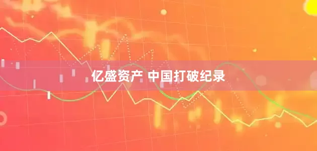亿盛资产 中国打破纪录